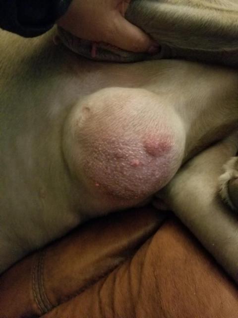 Sky tumor 2 Feb 2018